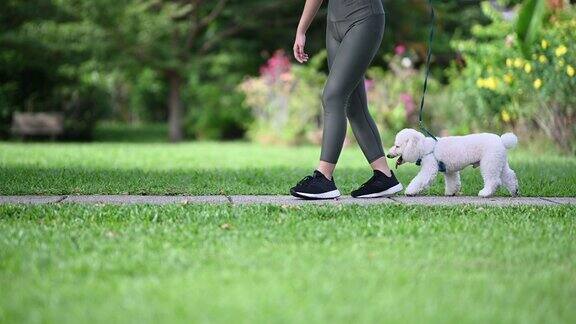 一名亚裔中国少女与她的玩具狮子狗在公园里享受亲密时光同时进行慢跑服从训练