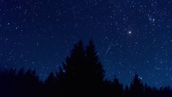 树的轮廓闪烁的星空和坠落的星星