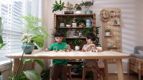 两个小男孩在家里玩积木