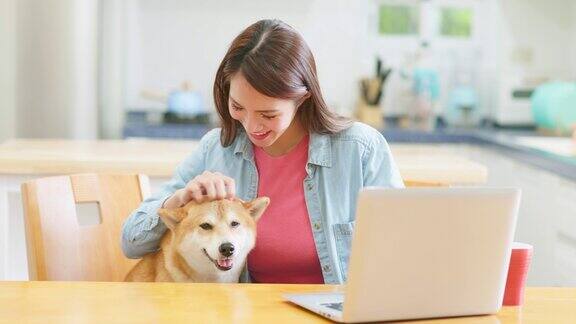 女孩和狗使用笔记本电脑