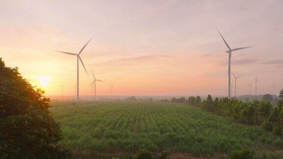 日出或日落时被风力涡轮机包围的绿色田野鸟瞰图