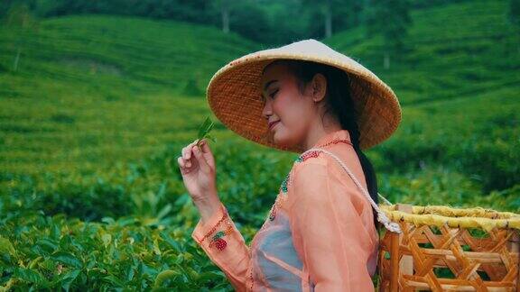 在茶园中央一位采茶农民手里拿着一片茶叶