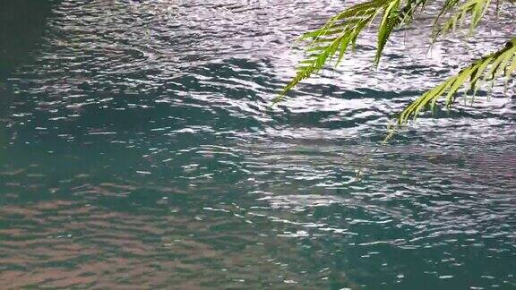 清澈的河水从大自然中流淌而出泰国