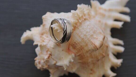 贝壳上的金属环