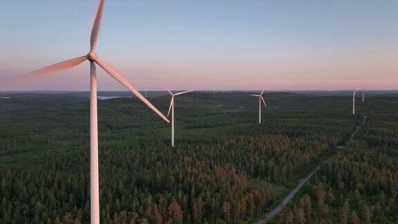 自然界中的风力涡轮机