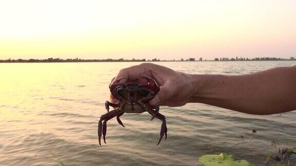 手握螃蟹