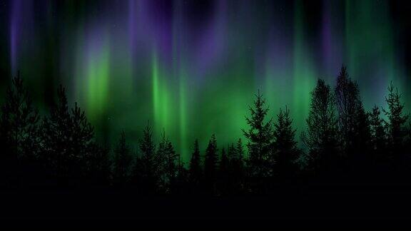 北极光和闪烁的星星照耀着森林的剪影