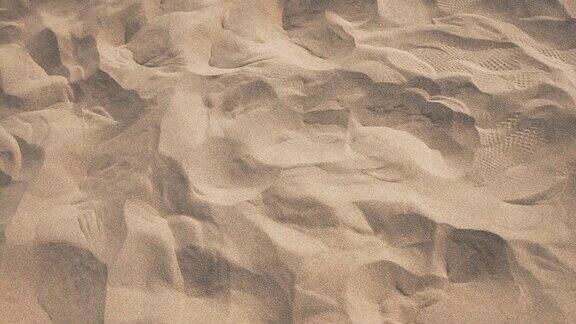 脚印在大加纳利群岛的马斯帕洛马沙漠