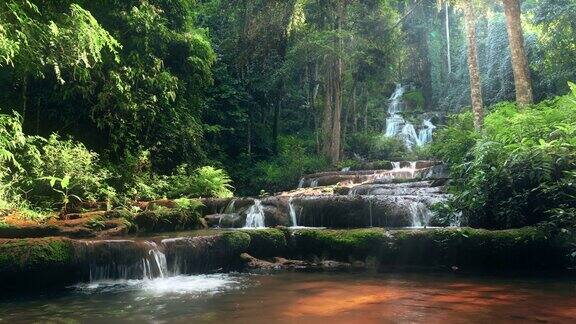 SLOMO瀑布在雨林无缝循环