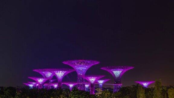 新加坡超级树林超级树在夜晚照亮时间流逝视频