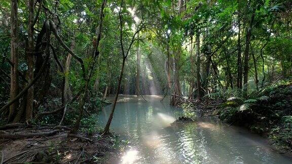 早晨热带雨林中阳光下的水流