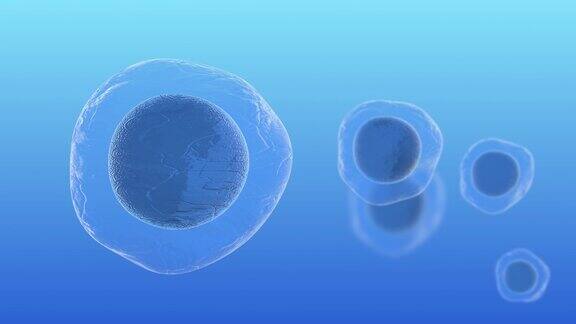 人类胚胎干细胞分子生物化学研究技术3D渲染