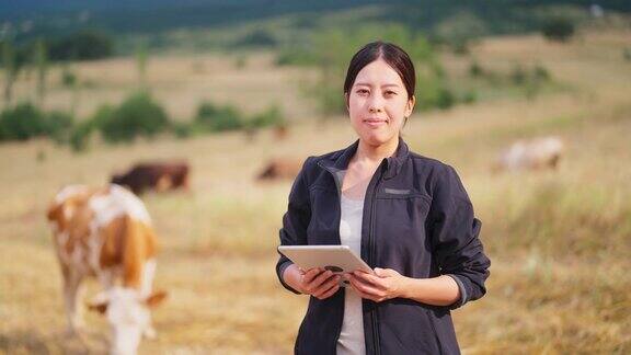 一位女农民正在用电子平板电脑检查牛群