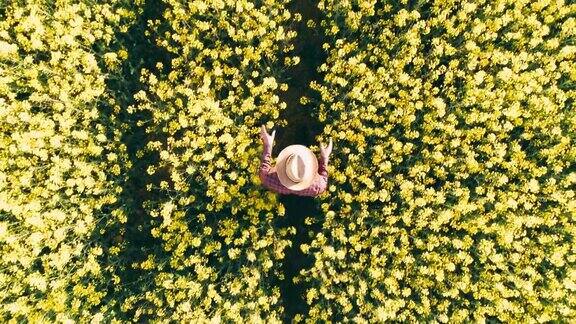 无人机拍摄农民在阳光明媚的黄色菜籽田中实时行走