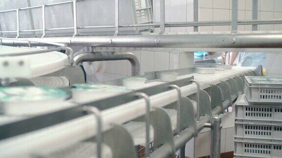 食品加工厂的包装线奶牛厂的包装机械传送带上的乳制品自动化的生产线