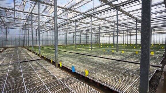 荷兰温室技术:用温暖的玻璃环境改造苗圃实现创新的园艺和农业实践