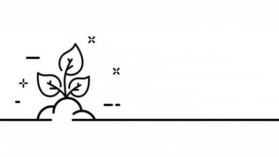 连续线园艺艺术绘画单线画实线一条线动画绘制植物作物和树苗视频4k