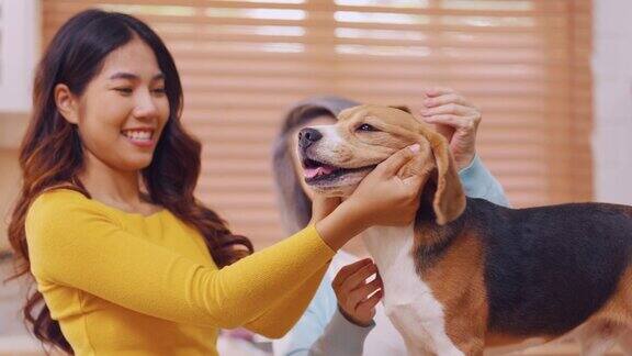 亚洲快乐的家庭和她的小猎犬在家里的厨房里玩耍迷人的老年母女主人享受休闲时光在家里练习训练可爱的宠物小狗