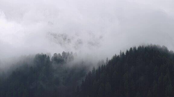 白云岩上冬季森林的时间流逝
