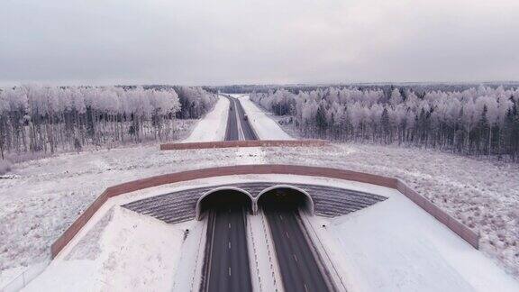 在爱沙尼亚动物们通过高速公路的桥的高角度视图