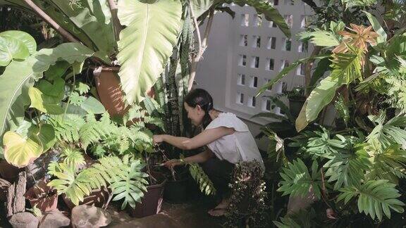 一位中年妇女在花园里种花