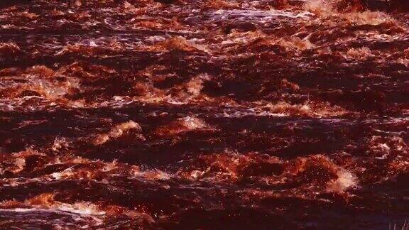 肯尼亚马赛马拉公园的马拉河景观血腥河实时4K