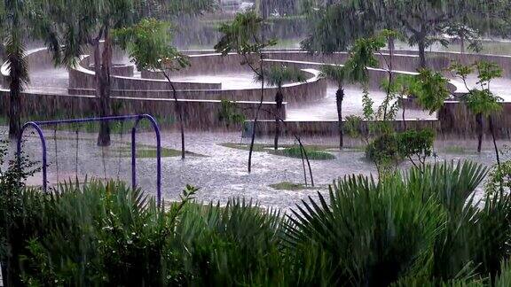 暴雨!