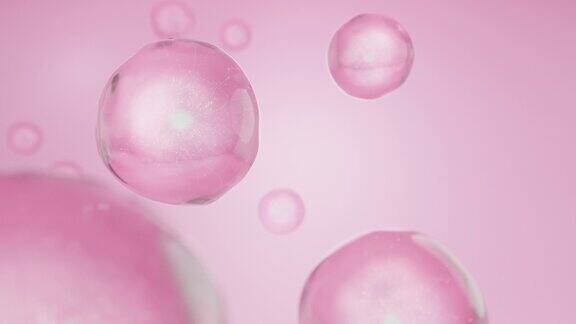 粉色胶原蛋白泡