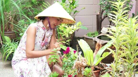 4K年轻亚洲妇女穿着中国传统旗袍和越南圆锥帽在花园里种植
