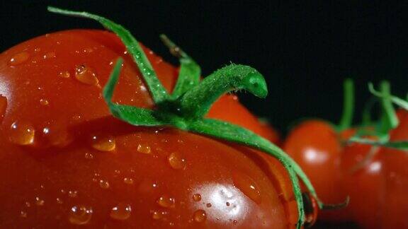 大番茄加水滴