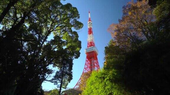 东京塔在绿色树顶东京日本