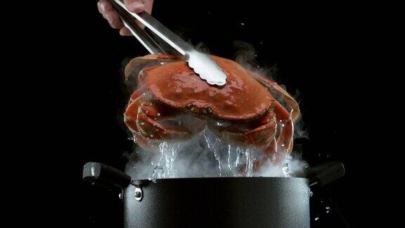 用慢动作从滚烫的锅中取出新鲜的Dungeness蟹使用幻影Flex4K相机拍摄