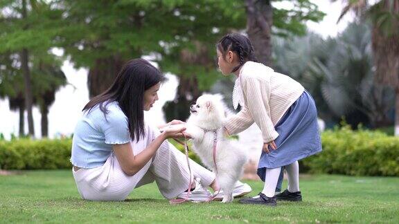 一个女人和一只博美犬在公园里玩耍