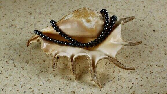 一条美丽的黑珍珠项链挂在一个大贝壳上全景特写产品理念源自黑珍珠