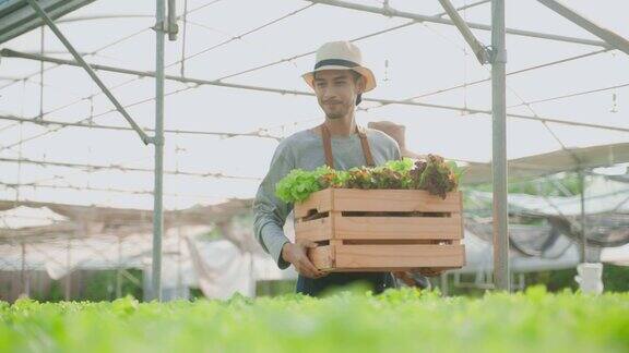 一对亚洲农民夫妇在蔬菜水培农场幸福地工作有吸引力的年轻男子和妇女农学家一起收获绿色的橡树和生菜进入篮子然后走在温室农场