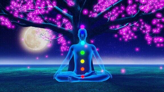 拥有脉轮的瑜伽士坐在树下粉红色的花朵落下来满月在繁星点点的天空中升起