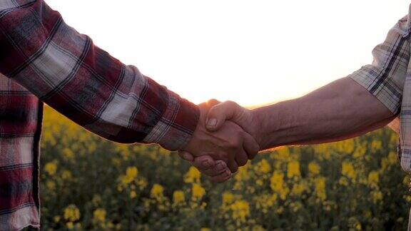 夕阳下两个农民商人在乡间握手