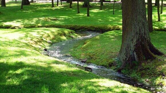 潺潺的小溪流过国家公园的绿色草坪和树木