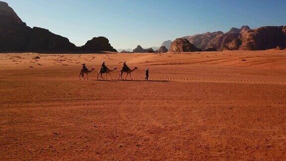 在一个阳光明媚的日子里一队骆驼行走在约旦的瓦迪拉姆沙漠