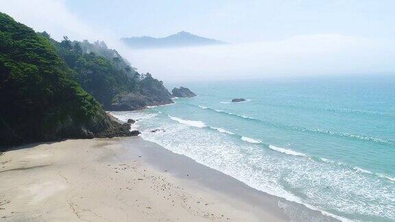 松木宫城县大贺半岛金贺山上有海滩和雾