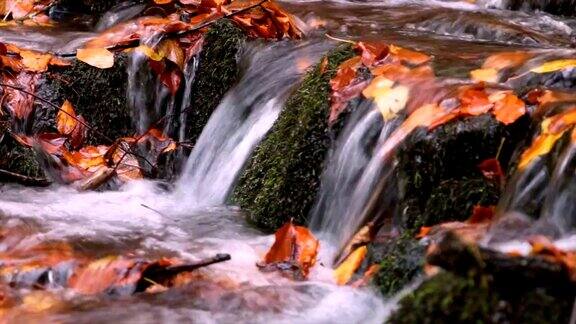 秋天流水淙淙