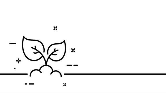 从地里发芽植物、花卉、萌芽、向日葵、生态学、植物学、植物学、绿色和平园艺一条线绘制动画运动设计动画技术的标志视频4k