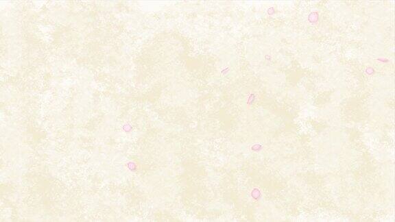 循环动画4k镜头的樱花花瓣落在一个简单的日本纸背景