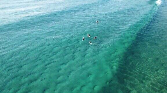 海滩的鸟瞰图