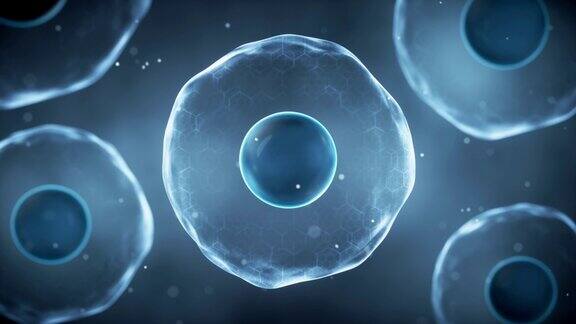 生物细胞用薄膜3d渲染