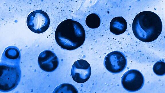 显微镜下的球形气泡像变异的细胞