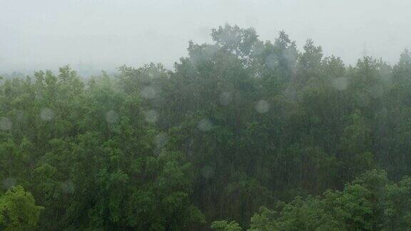 夏天经常下大雨从窗外看到的森林和倾盆大雨