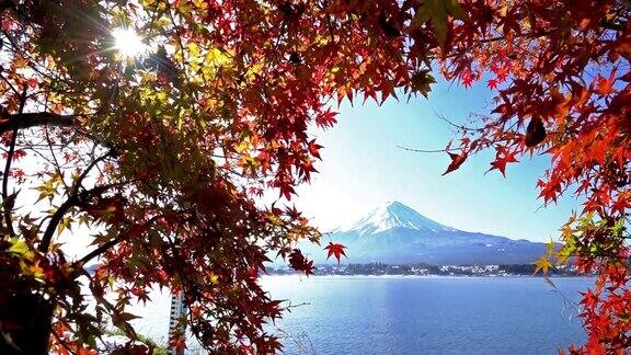 富士山秋日在日本山梨县川口湖