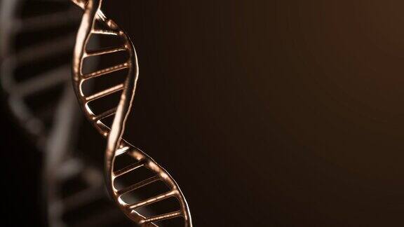 摘要金属闪闪发光的金色DNA双螺旋具有景深旋转神秘的科学动画染色体组的画面遗传信息设计4kUHD