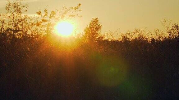 日落时太阳发出的眩光